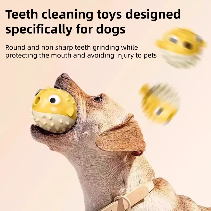 Interaktywna zabawka dla psa w – Dog Puzzle Feeder Toy recenzja i cena