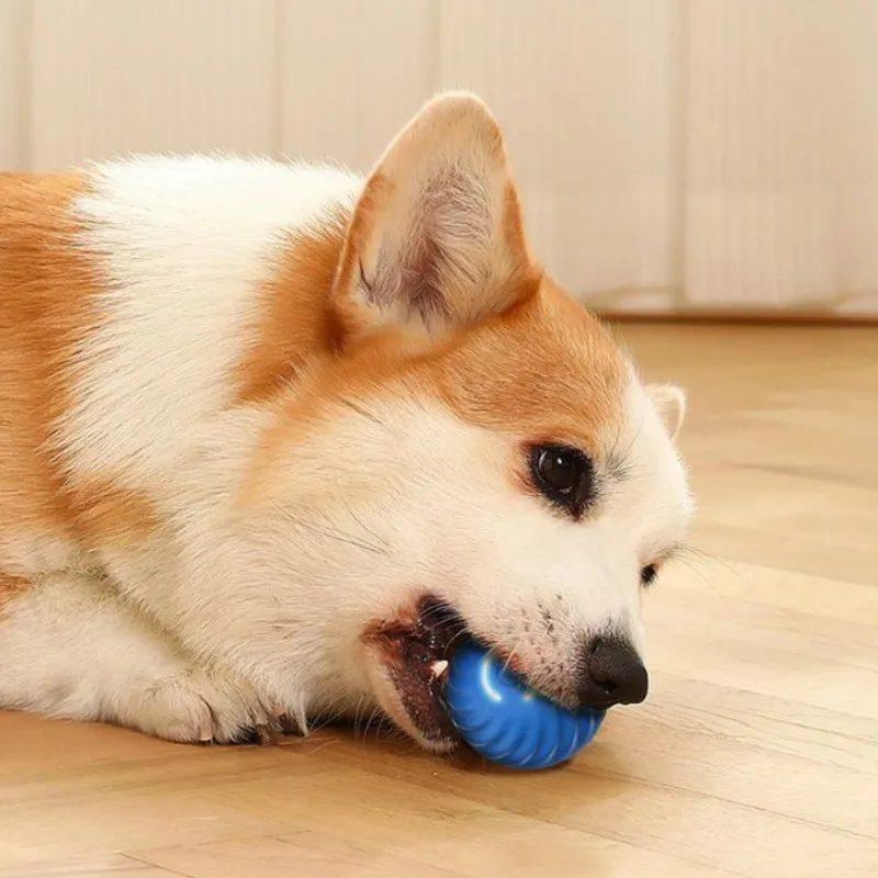 SS – zabawka dla psów w kształ – Automatic Moving Dog Ball recenzja i cena