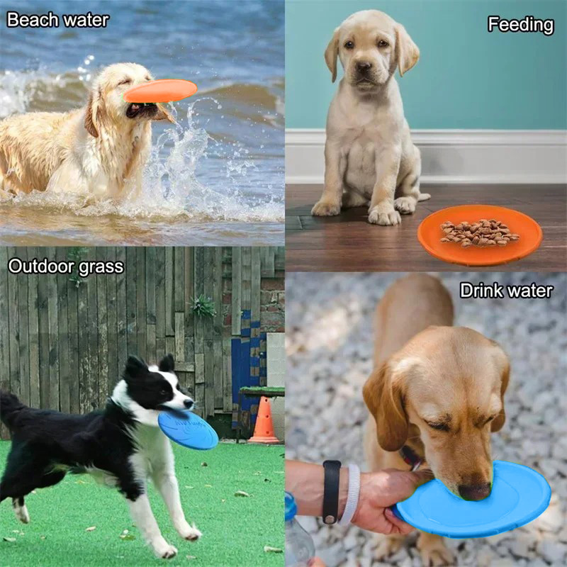 Wielokolorowa zabawka dla psa  – Flying Disc Dog Training Toy recenzja i cena