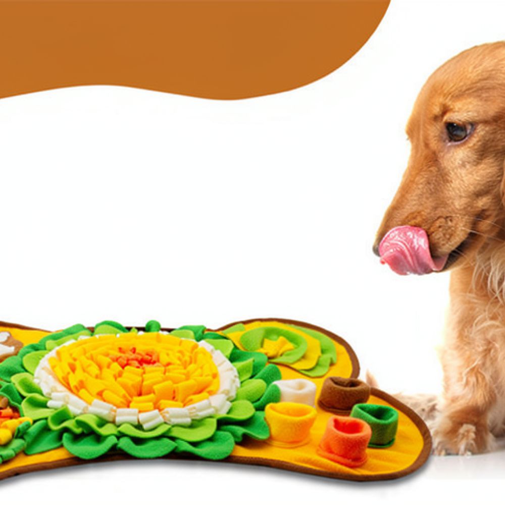 Mata do szukania smakołyków dl – Dog Puzzle Feeder Toy recenzja i cena